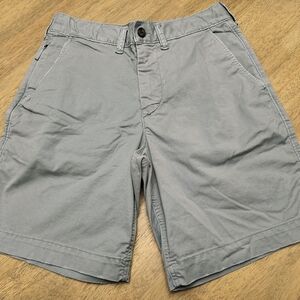 American Eagle Outfitters Light Gray Flat Front Shorts